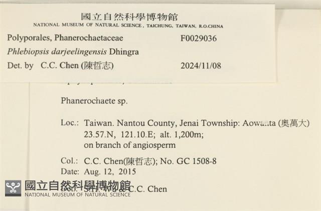 登錄號:F0029036藏品圖，第3張