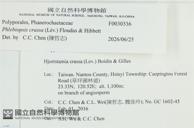 登錄號:F0030336藏品圖，第3張