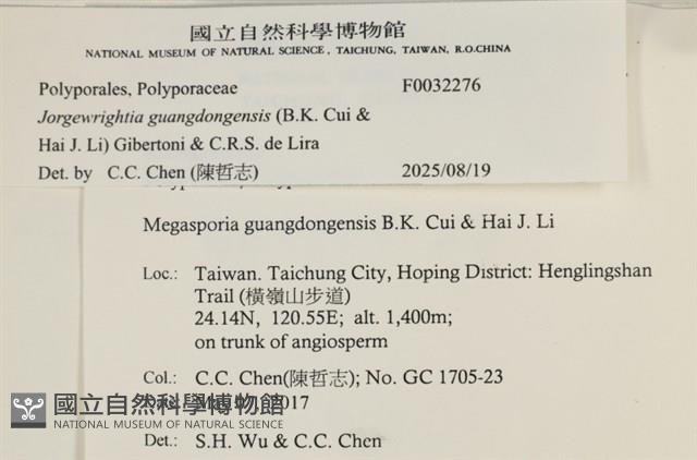 登錄號:F0032276藏品圖，第4張