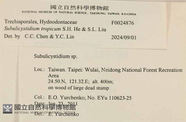 登錄號:F0024876藏品圖，第4張