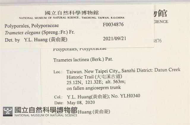 登錄號:F0034876藏品圖，第4張