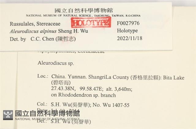 登錄號:F0027976藏品圖，第3張