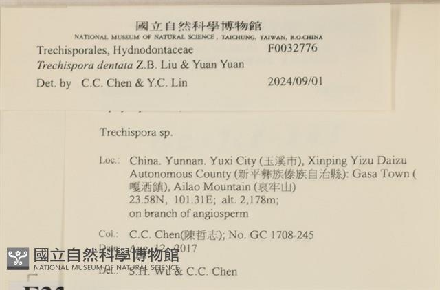 登錄號:F0032776藏品圖，第3張
