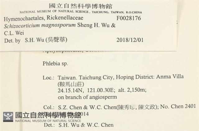 登錄號:F0028176藏品圖，第3張