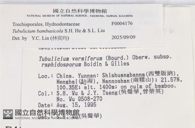 登錄號:F0004176藏品圖，第4張