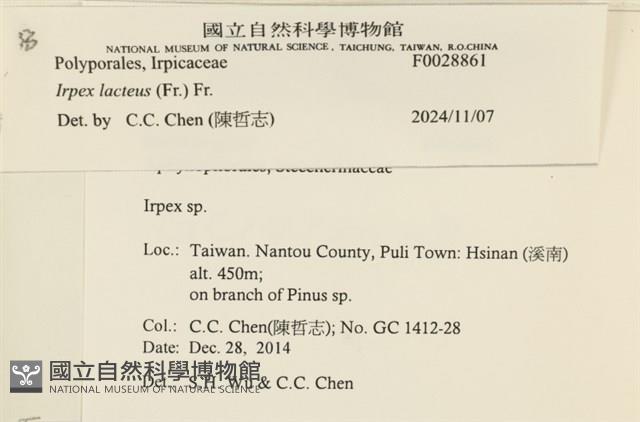 登錄號:F0028861藏品圖，第3張