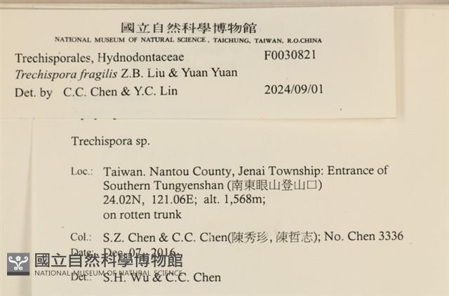 登錄號:F0030821藏品圖，第3張