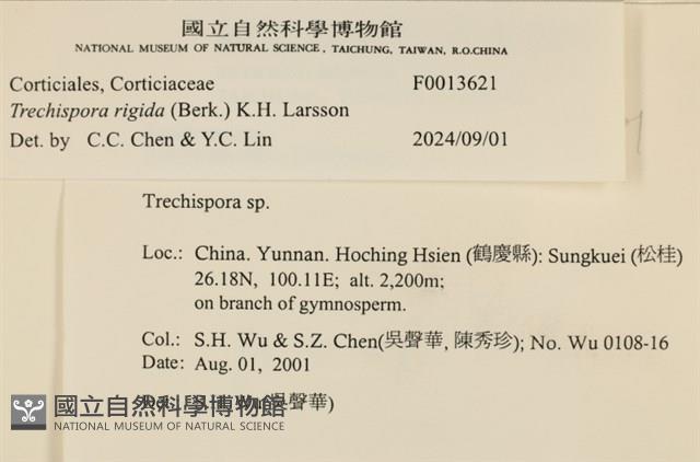 登錄號:F0013621藏品圖，第3張