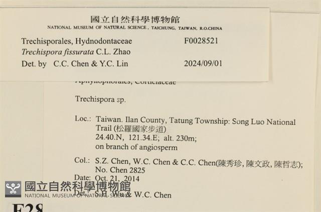 登錄號:F0028521藏品圖，第3張