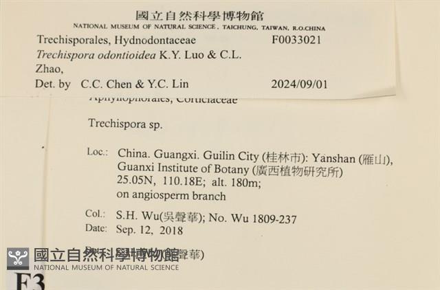 登錄號:F0033021藏品圖，第3張