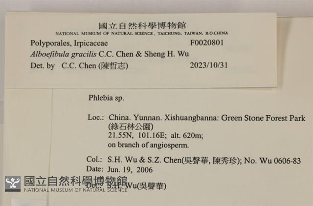 登錄號:F0020801藏品圖，第4張