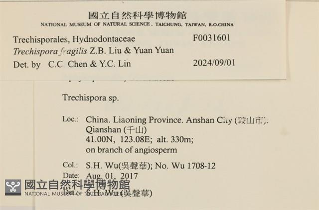 登錄號:F0031601藏品圖，第3張