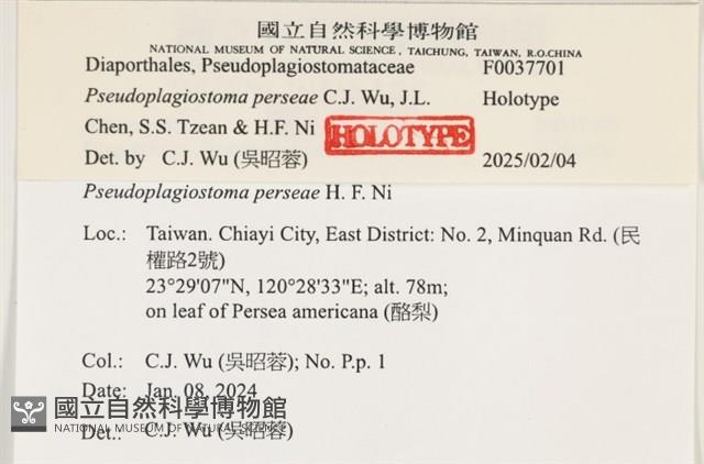 登錄號:F0037701藏品圖，第2張