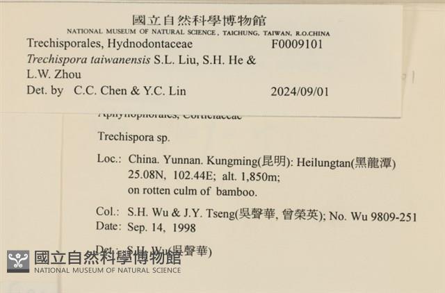 登錄號:F0009101藏品圖，第3張