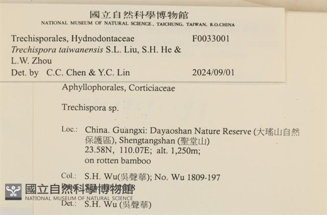 登錄號:F0033001藏品圖，第3張