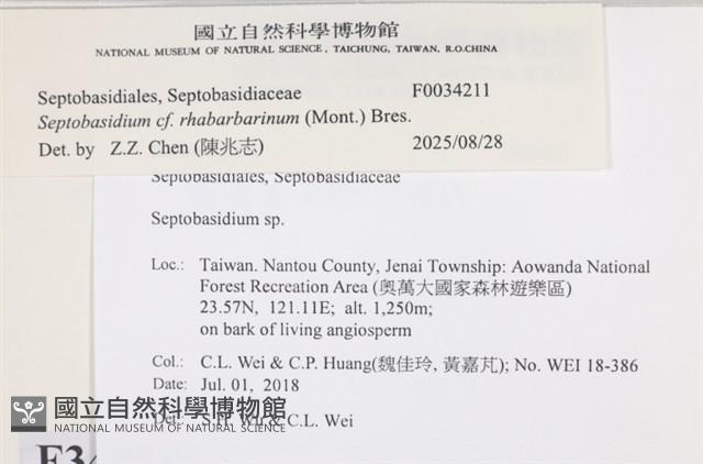 登錄號:F0034211藏品圖，第3張