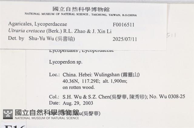 登錄號:F0016511藏品圖，第3張