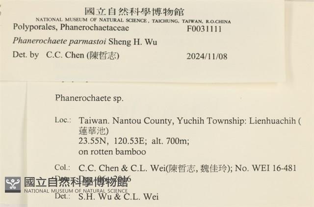 登錄號:F0031111藏品圖，第3張