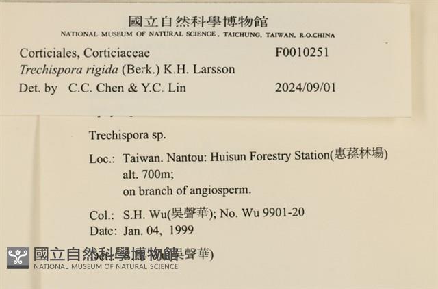 登錄號:F0010251藏品圖，第3張