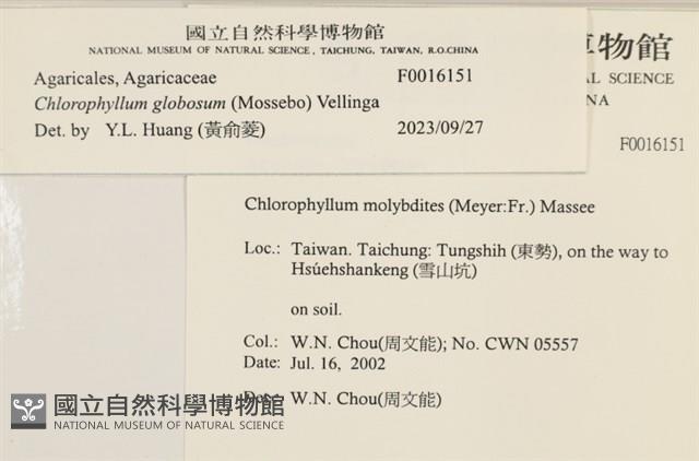 登錄號:F0016151藏品圖，第4張