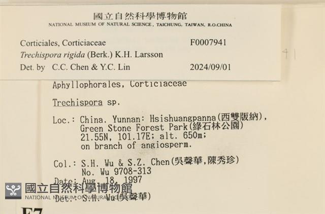 登錄號:F0007941藏品圖，第3張