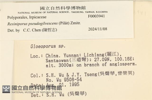 登錄號:F0003941藏品圖，第3張