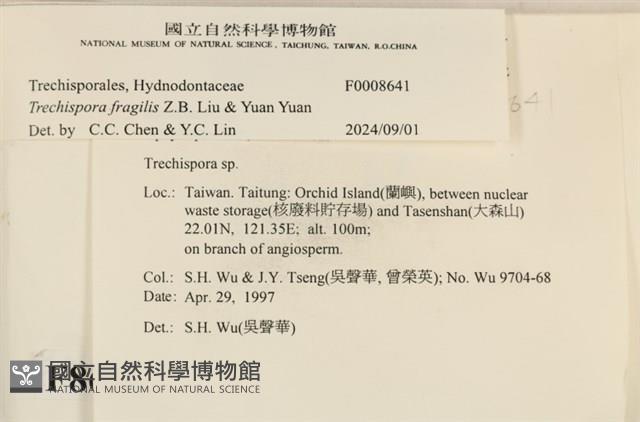 登錄號:F0008641藏品圖，第3張