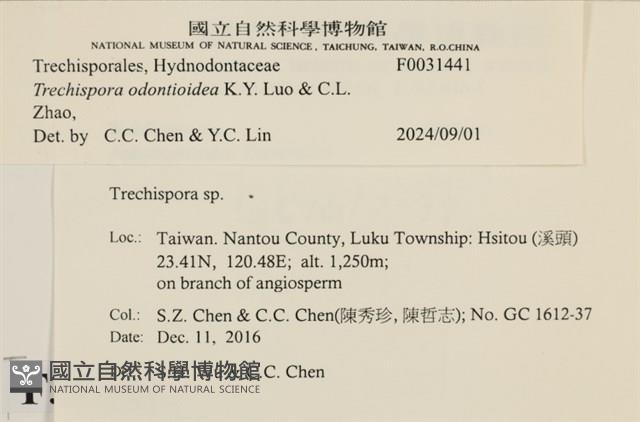 登錄號:F0031441藏品圖，第3張