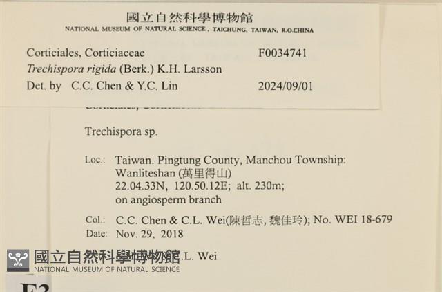 登錄號:F0034741藏品圖，第3張