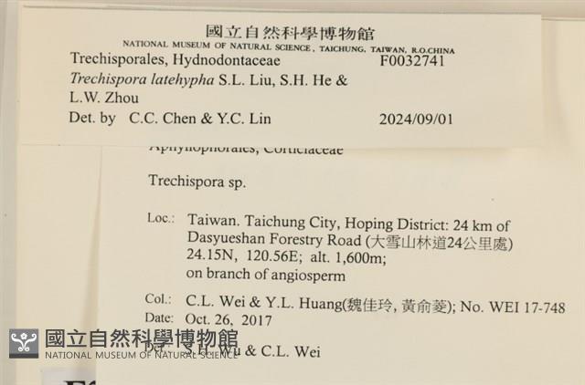 登錄號:F0032741藏品圖，第3張