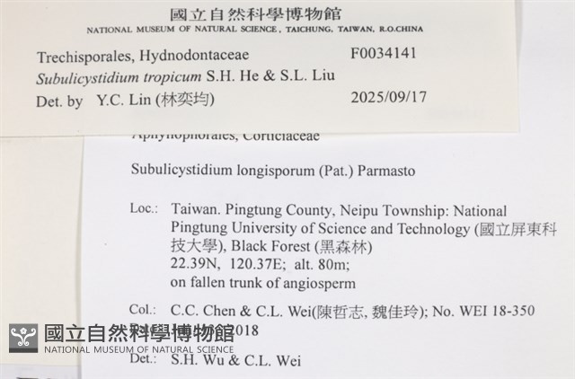 登錄號:F0034141藏品圖，第3張