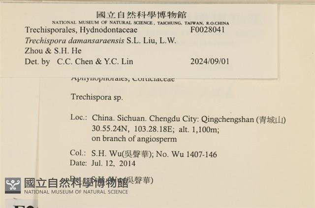 登錄號:F0028041藏品圖，第3張