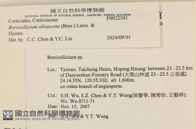 登錄號:F0022341藏品圖，第3張