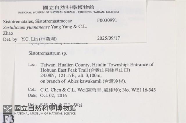 登錄號:F0030991藏品圖，第3張