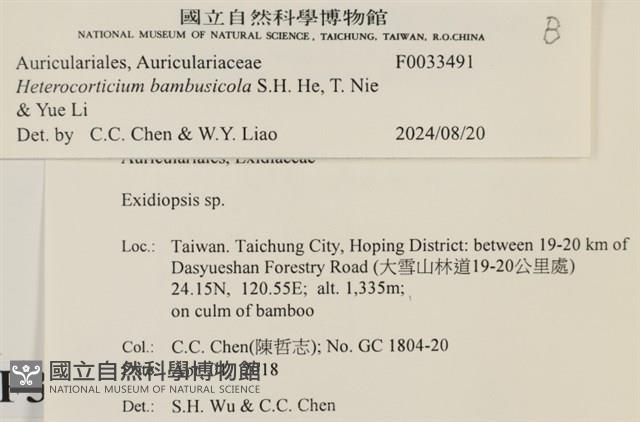 登錄號:F0033491藏品圖，第3張
