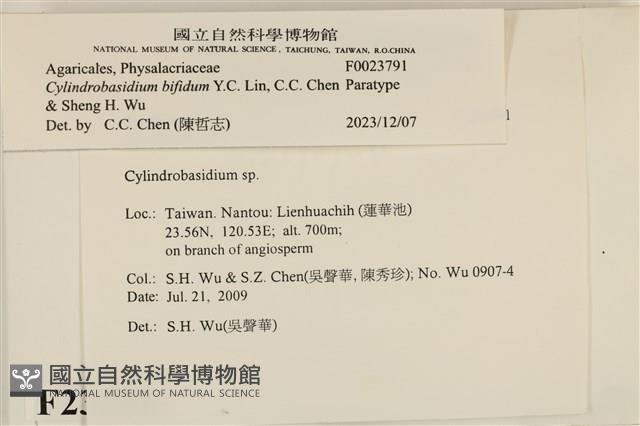 登錄號:F0023791藏品圖，第4張