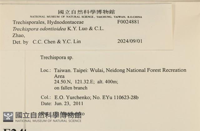 登錄號:F0024881藏品圖，第3張