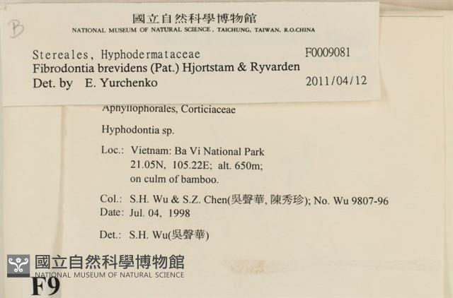 登錄號:F0009081藏品圖，第4張