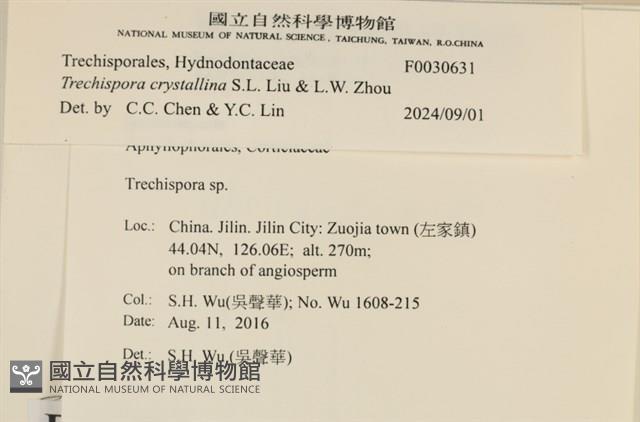 登錄號:F0030631藏品圖，第3張