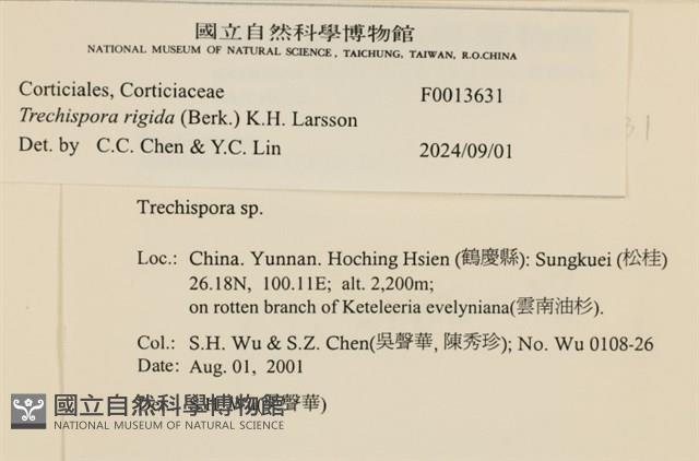 登錄號:F0013631藏品圖，第3張