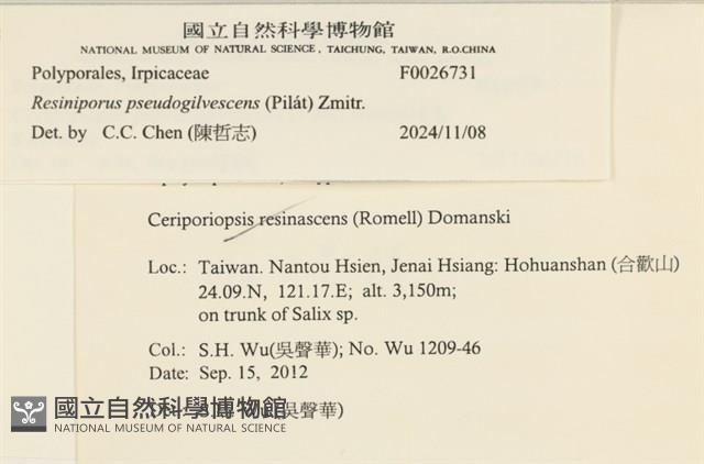 登錄號:F0026731藏品圖，第4張