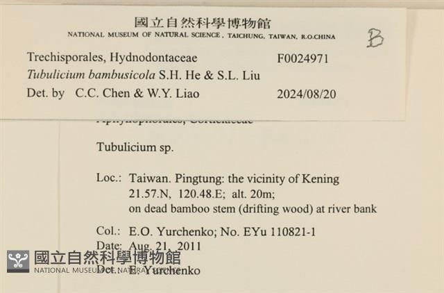 登錄號:F0024971藏品圖，第4張