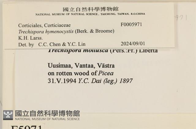 登錄號:F0005971藏品圖，第4張