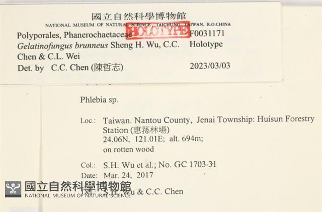 登錄號:F0031171藏品圖，第3張