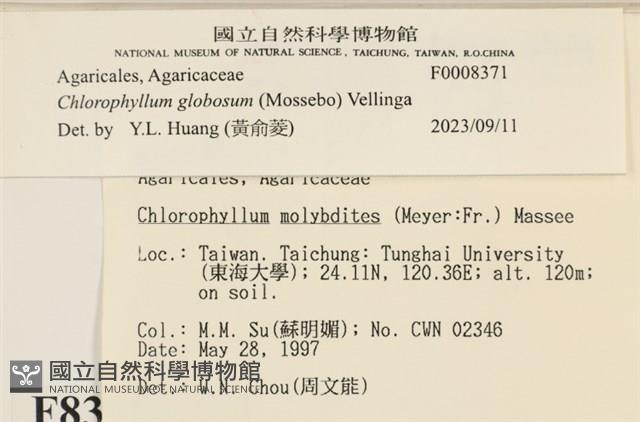 登錄號:F0008371藏品圖，第4張