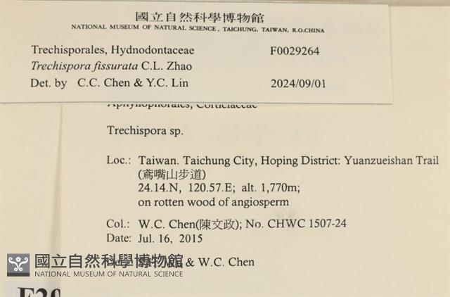 登錄號:F0029264藏品圖，第3張