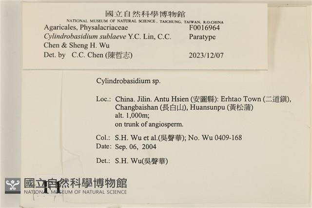 登錄號:F0016964藏品圖，第3張