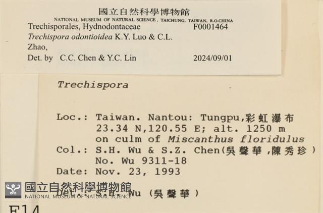 登錄號:F0001464藏品圖，第4張