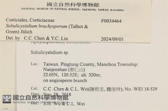 登錄號:F0034464藏品圖，第3張