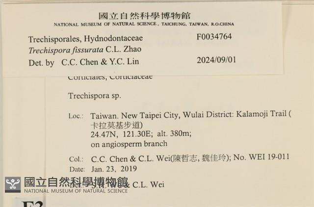 登錄號:F0034764藏品圖，第3張